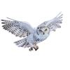 Veronese Design Annes Stokes Your Snowy Owl With Pentagram Pendant Wall Sculpture 2D