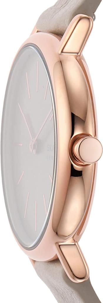 Женские часы Skagen SKW3060, Серые [Параллельный импорт]