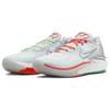 Nike Air Zoom GT Cut 2 EP Christmas Unisex кроссовки Purple Violet-Dust Luminous-Green DJ6013-008