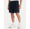 Шорты Quiksilver EQYFB03372