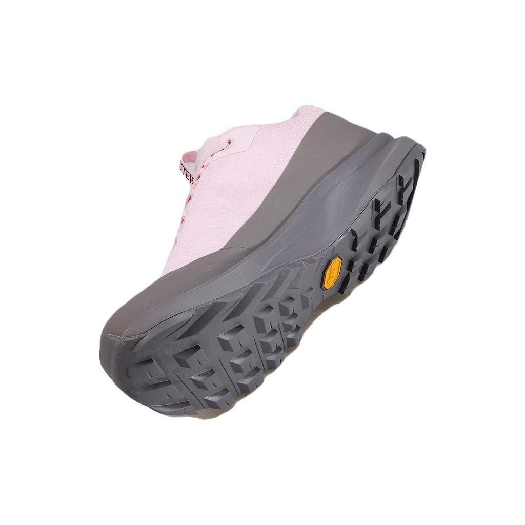 Arcteryx AERIOS Mesh GTX Круглый носок Удобные Дышащие Низкие по щиколотку Туристические Ботинки Женские кроссовки Розовый L08088800