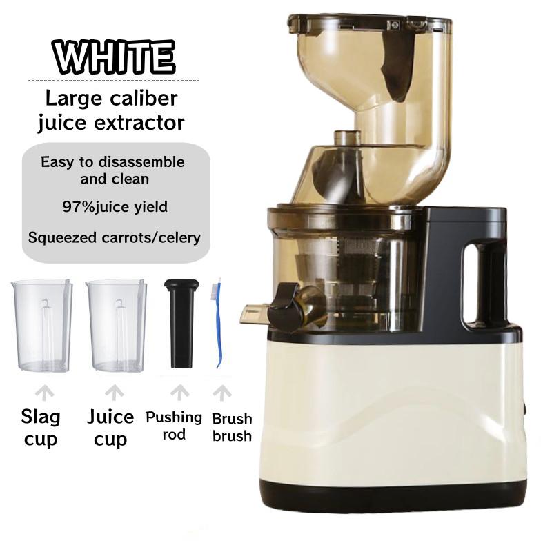 300W High Power Household Electric Fruit Juicer Large Caliber Fruit Extractor Blender Slow Chewing Cold Press Juicer