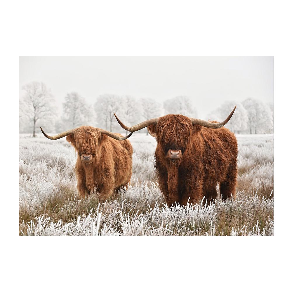 Scottish Highland Brown Cow Painting Canvas Print Poster Rustic Wall Art Farm Animals Picture for Living Room Home Decor Cuadros