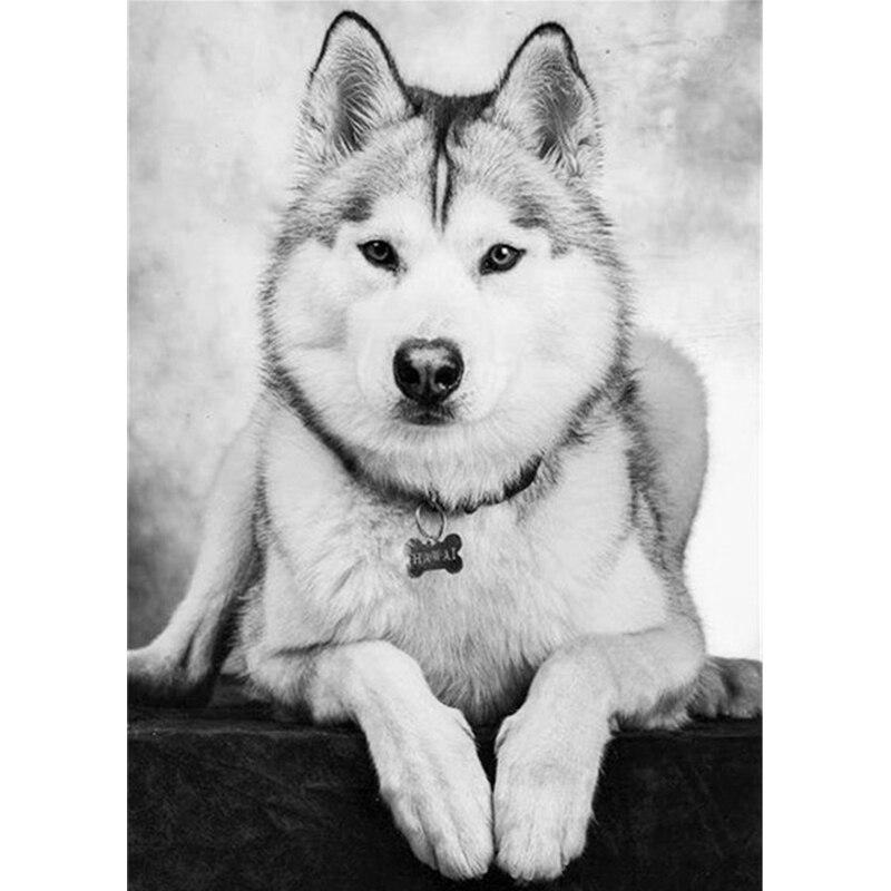New 5D DIY Diamond Painting Husky Diamond Embroidery Animal Cross Stitch Full Square Round Drill Crafts Home Decor Manual Gift