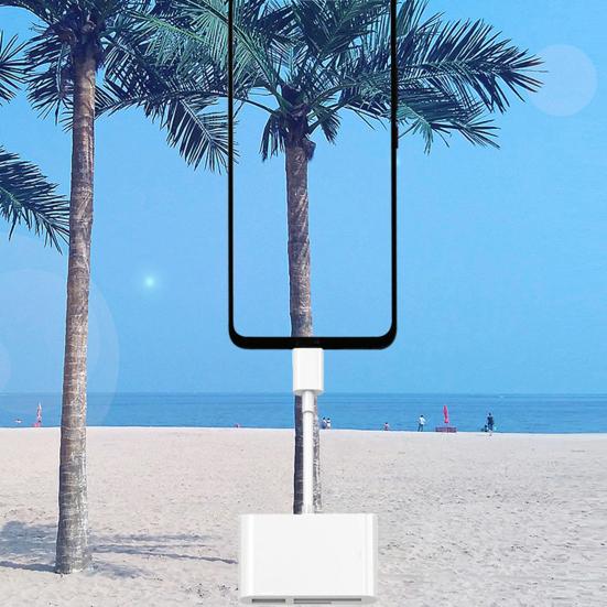 Кардридер 3-в-1 Многофункциональный USB 2.0/Type-C U Disk TF Card Reader OTG Адаптер для мобильного телефона