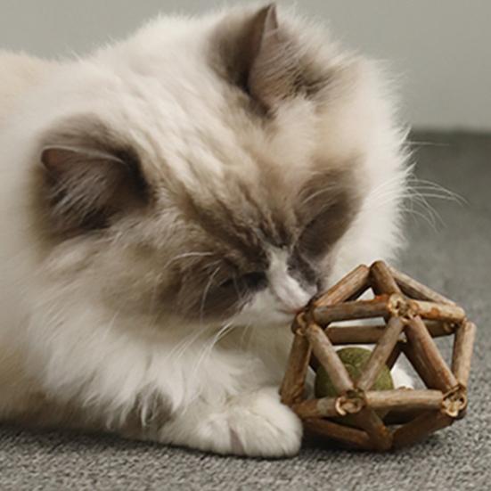 Natural Catnip Silvervine Ball Toy Dental Health Emotional Regulation Chew Toy Promotes Digestion Soothes Mood Cat Toys for Indoor Cats Kittens