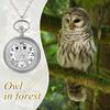 Карманные часы Сова Милый скелет Водонепроницаемые часы с подвеской Аналоговые карманные часы Ретро Стразы Ожерелье Цепь Серебро День рождения Годовщина Рождество