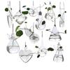 Home Planters Clear Glass Flower Plant Stand Hanging Vase Ball Terrarium Container For Garden And Home Decor