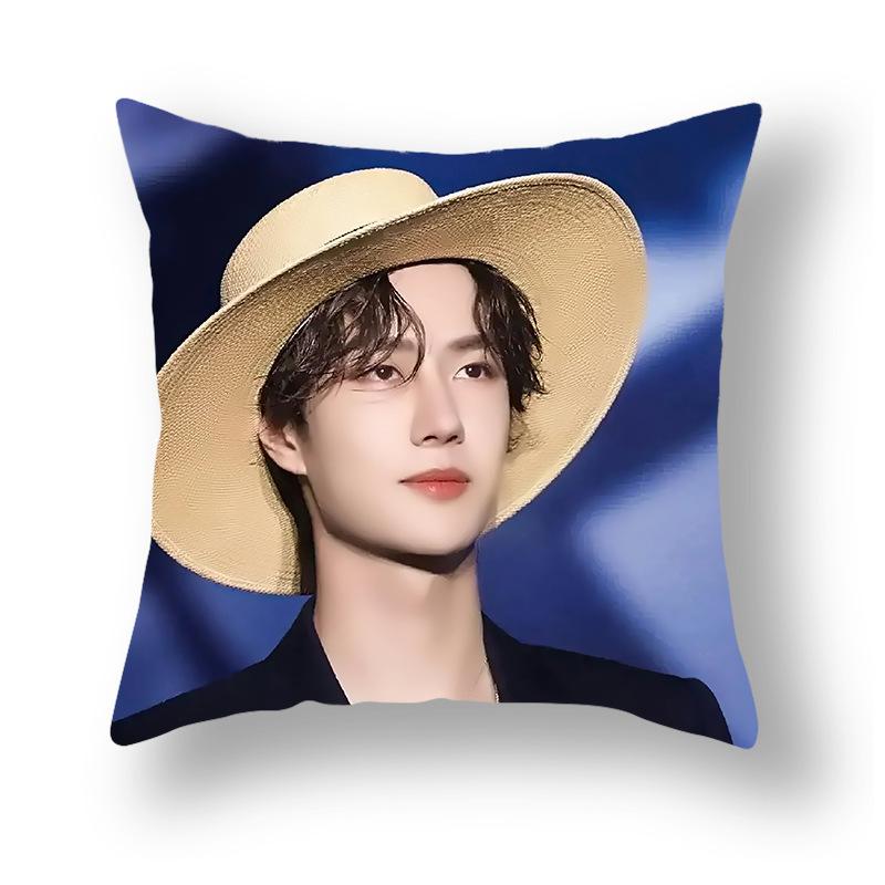 Наволочка с принтом знаменитости, Рекламная наволочка для дивана, прикроватная подушка