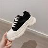 Thick-soled Heightening Canvas Shoes Women's Spring and Autumn New Fashion Single Shoes Lace-up Sports and Leisure Dad Shoes