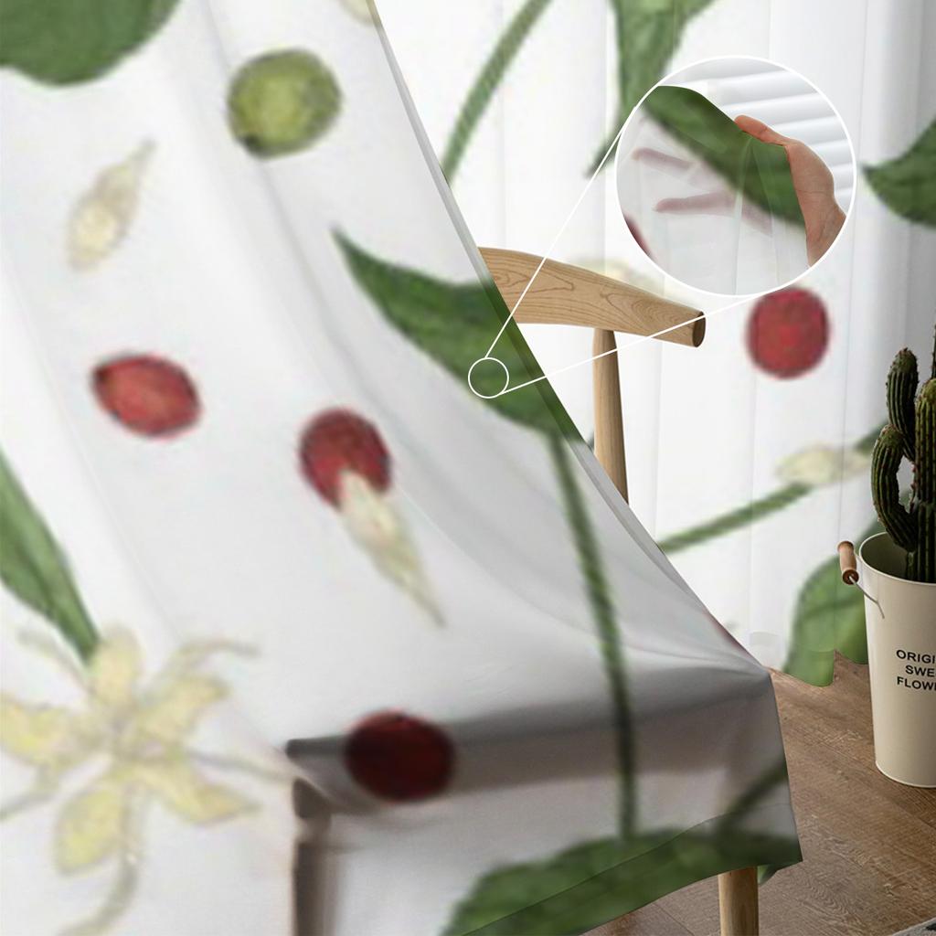 Натуральный кофе или листья кофейного дерева, шифоновые прозрачные шторы для гостиной, спальни, оконные занавески, вуали, тюль Cortinas