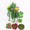 Set0863 Имитация суккулентных растений Набор суккулентных растений, смешанных с декором для дома, торгового центра, реквизитом для стрельбы