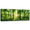 Печать на холсте Пейзаж Лес Зеленый Природа