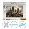 Harry Potter Hogwarts 3000 Pc Puzzle