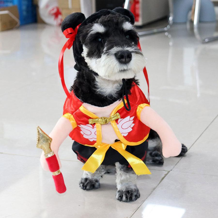 Funny Halloween Pet Dog Polyester Eco-friendly Big Banana Print Cartoon Style Formal Coat for Winter