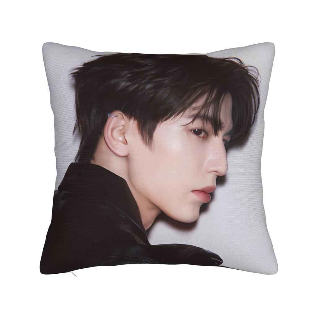 Zhang Linghe Pillowcases Kawaii Pillow Case For Living Room Sofa Custom Pillow Cover