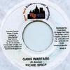 7-дюймовая пластинка RICHIE SPICE / HOMA HEIGHTS - Gang Warfare / Muss Buss Hamm NONE New York Entert 2006 Jamaica Reggae, Ska & Dub Б/у