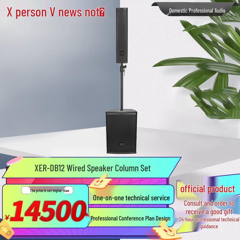 Xun'erwei Professional Conference & Outdoor Audio Systems (CN version)