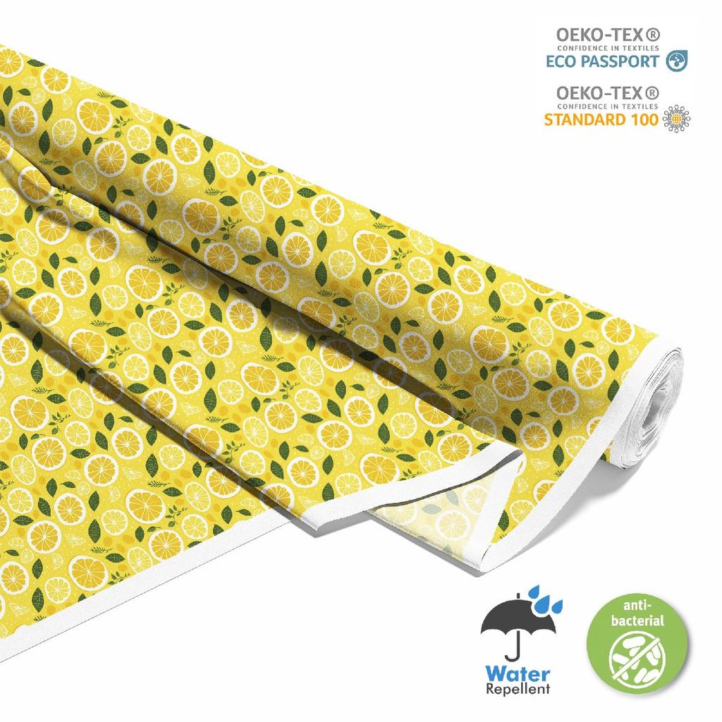 Outdoor Dekostoffe Oxford - Motiv Obst | Dx6564