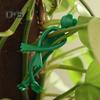 5 Pcs Frog Plant Stand Lizard-shaped Plant Fixture Clip Plant Stem Hugger Climbing Plants Support Structure for Small Potted Plants Succulents