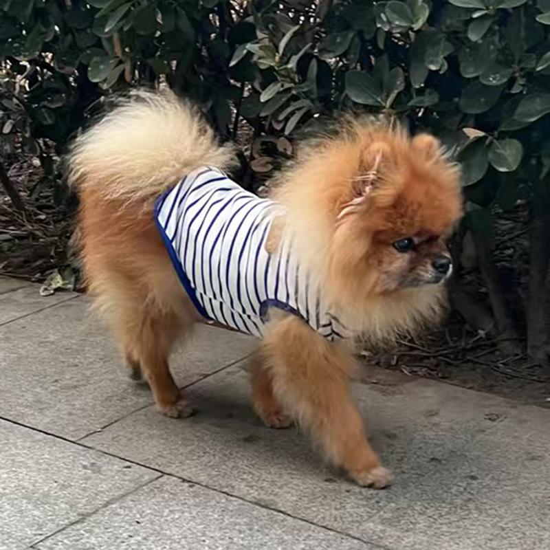 Повседневная одежда для собак йоркширский терьер летняя полосатая жилетка без рукавов для маленьких собак рубашки для щенков чихуахуа mascotas одежда