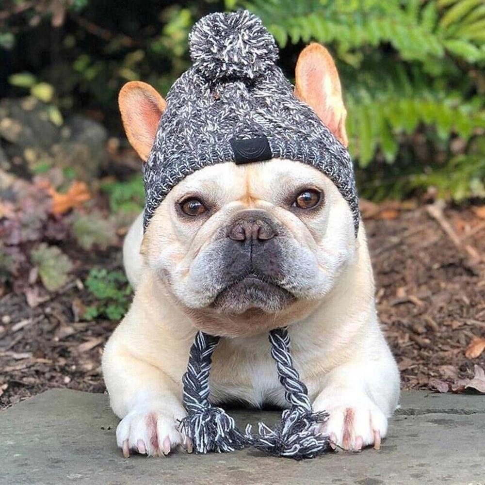 New Winter Warm Dog Hats Windproof Knitting Fluffy Ball Pet Hat Chihuahua Hat French Bulldog Hat Puppy Accessories For Dogs
