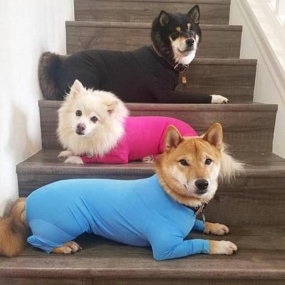 Кошка среднего и крупного размера Все включено Собака Четырехлапая Осенне-зимняя одежда Одежда для питомцев Кошка Эластичный базовый слой Рубашка