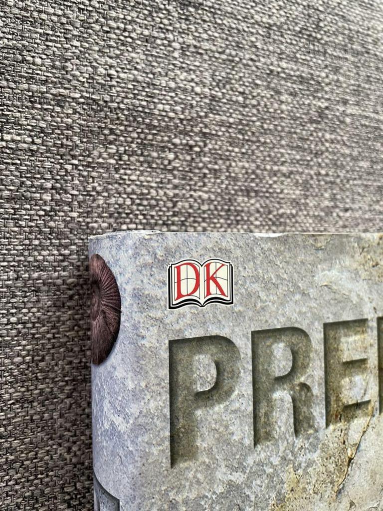 [Б/У] DK Foreign Books Твердый переплет ДОИСТОРИЧЕСКИЙ Твердый переплет