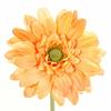 Tokyodo Artificial Flower MAGIQ Soleil Gerbera Bundle, Light Orange, 7cm Diameter x 27cm Length, 3-Pack, FM002832-009