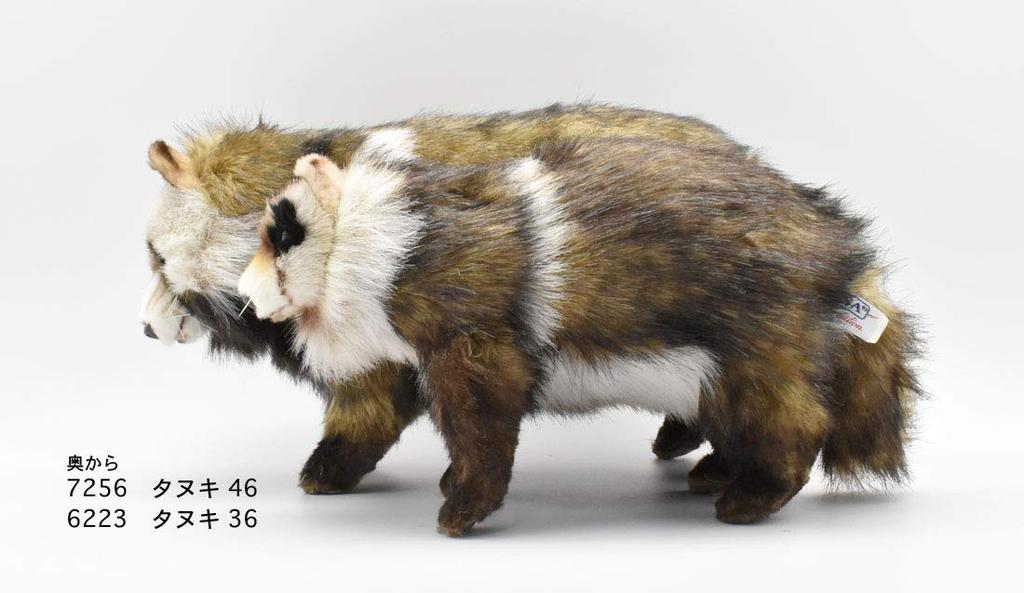 BH7256 HANSA Raccoon 46