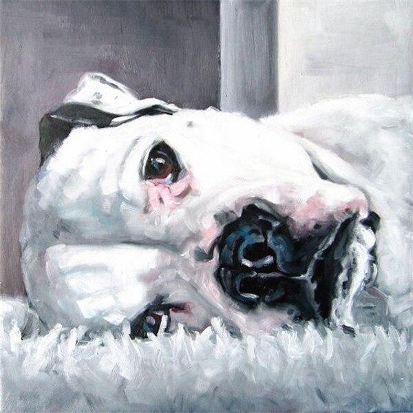 50X50CM 5D алмазная живопись полная квадратная собака Алмазная вышивка животные вышивка крестиком ремесленная художественная распродажа украшение дома