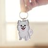Keychain Pet Style Collect Pet Hair Transparent Pendant Keyring Bag Pendant Key