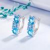 European and American Light Luxury Sea Blue Zircon Earrings for Women - Cross-border Design Jewelry