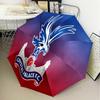 Eagle Crest Crystal Design Automatic Folding Umbrella - 8-Rib Travel Umbrella with Auto Open/Close & Portable Gifts for holidays or birthdays