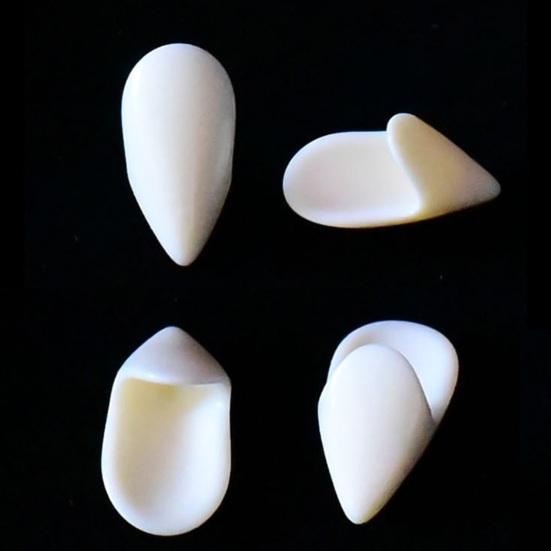 Яркие протезы на Хэллоуин выделяются реалистичными зубами. Сложная имитация протеза широкого применения.