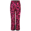 Womens/Ladies Ice Graffiti Ski Trousers