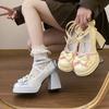 2025 весна и осень новые корейские мягкие женские туфли на толстой подошве в стиле Лолиты jk single туфли с бантом на высоком каблуке туфли Мэри Джейн женские