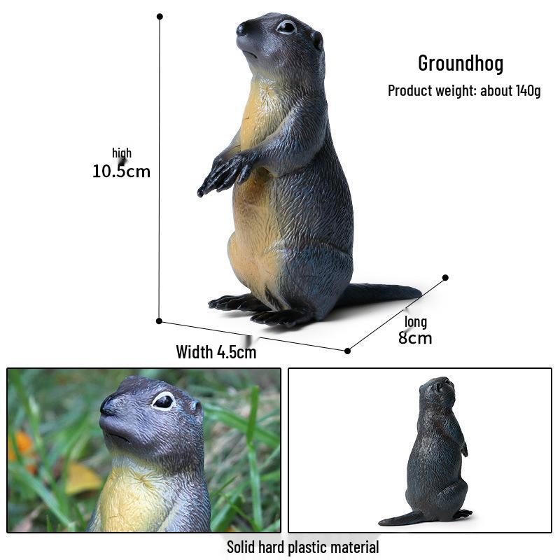 Children's Cognitive Rodent Simulation Toy: Chipmunk, Marmot, Squirrel, Guinea Pig Models