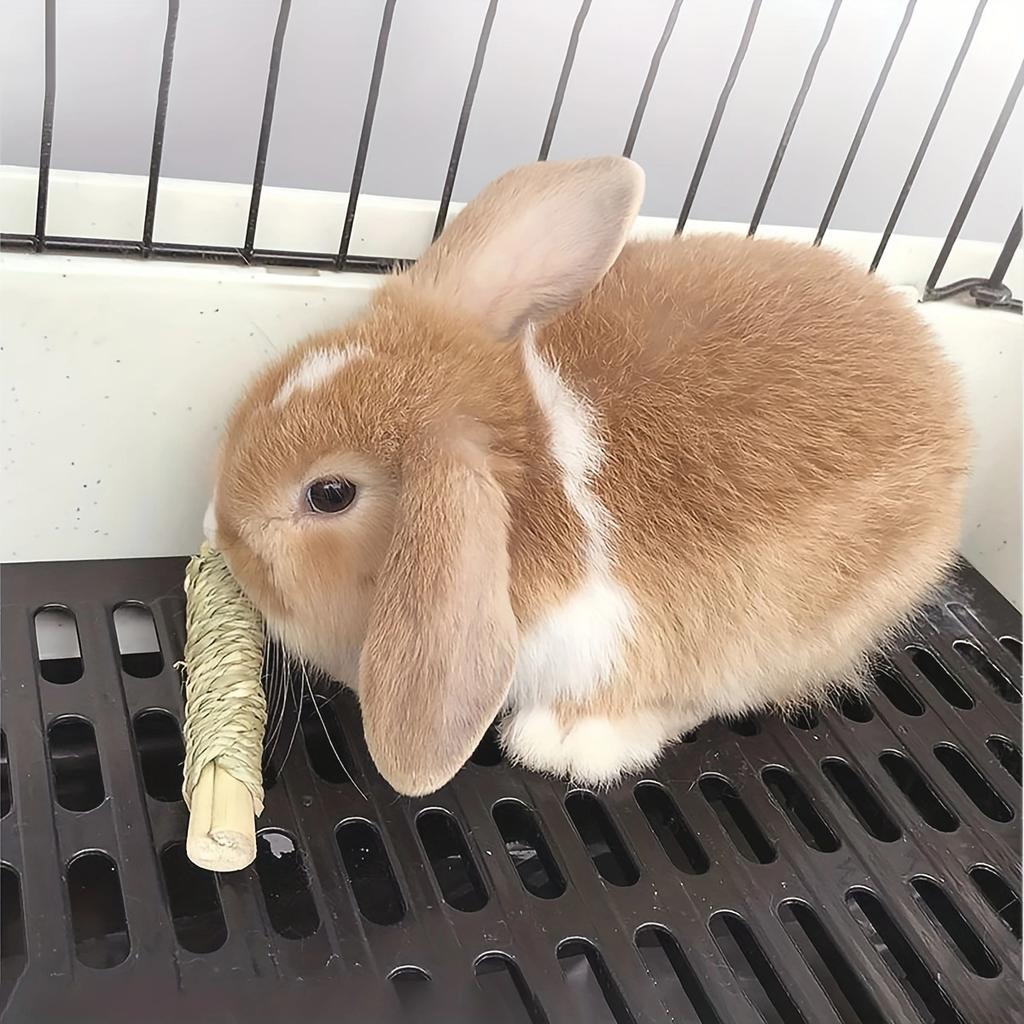 4pcs Rabbit Chew Toys, Natural Sweet Bamboo Sticks for Pets, Wood Chew Toy for Guinea Pigs, Chinchillas