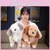 Puppy Plush Toy Cute Cartoon Dog Stuffed Animal Doll Room Decoration Gift Kids