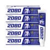 2080 Classic Complete Care Toothpaste 170g (5-Pack)