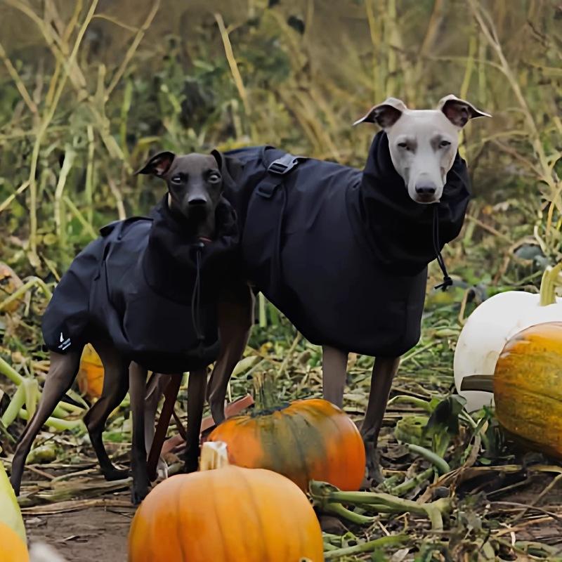 Fashion Raincoat for Airless terrier Soft Puppy Clothes Warm Waterproof Coat for Italian Greyhound Whippet Dog Jacket