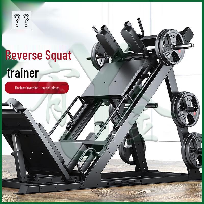 Professional Leg Press and Hack Squat Machine
