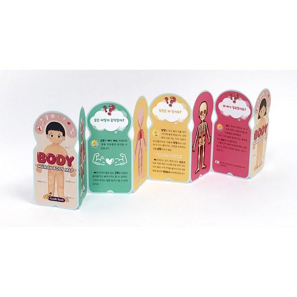 Карта человеческого тела, версия. 2 пазла, 1, 85 деталей, Korea Best Toddler Puzzle Puzzle