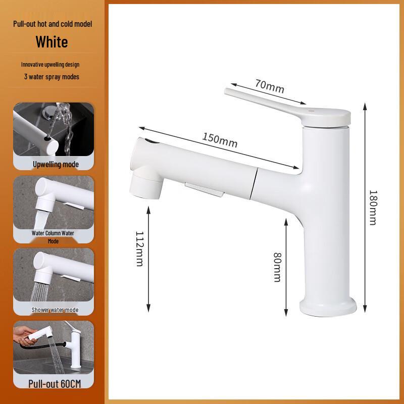 Bathroom Sink Faucet with Pull-Out Spray