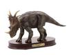 Favorite Styracosaurus FD107/1