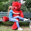 Large Hug Bear Doll Plush Toy Big Bear Teddy Bear Doll Girl Ragdoll Girlfriend Valentine's Day Gift