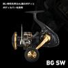 Daiwa Shore Jigging Spinning Reel 23BG SW 4000D-CXH