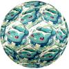 Pokémon Theme Size 5 Soccer Ball, Suitable for Both Indoor and Outdoor Matches, a Gift Suitable for Everyone.