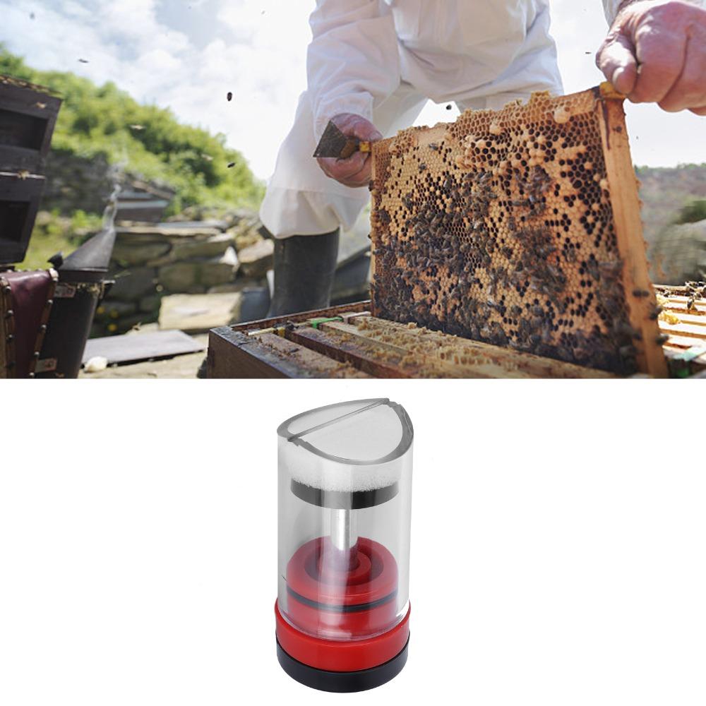 Plastic Queen Bee Catcher Cage High Quality Queen Bee Marking Tube Bee Catching